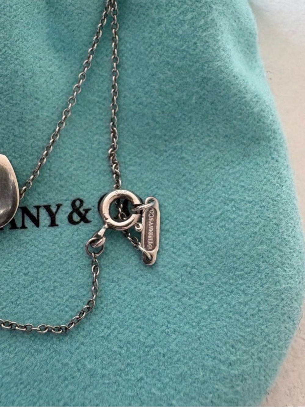Tiffany & Co. Sterling Silver Heart Tag Necklace in Signature Blue-Green - Picture 2 of 7